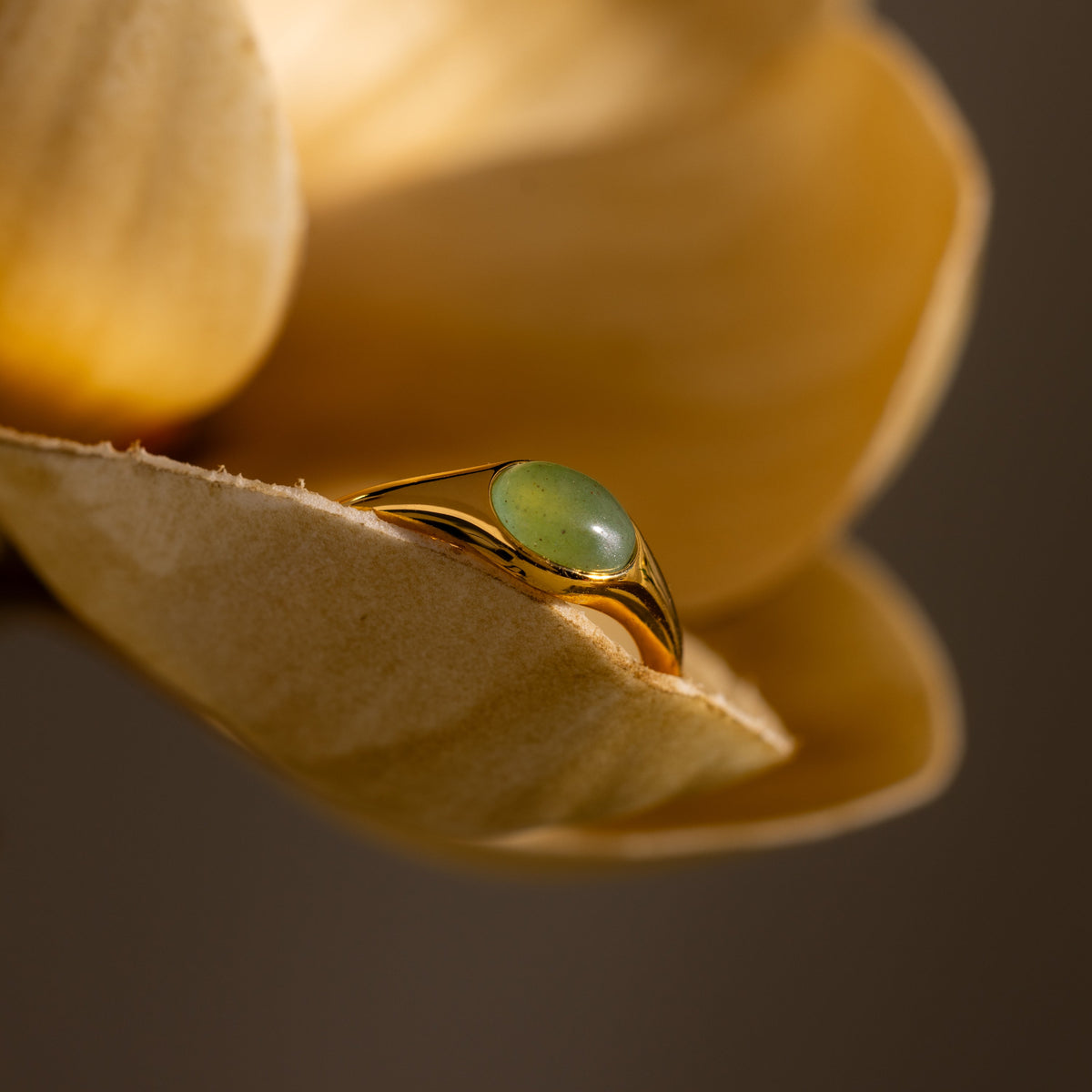Oval jade signet ring