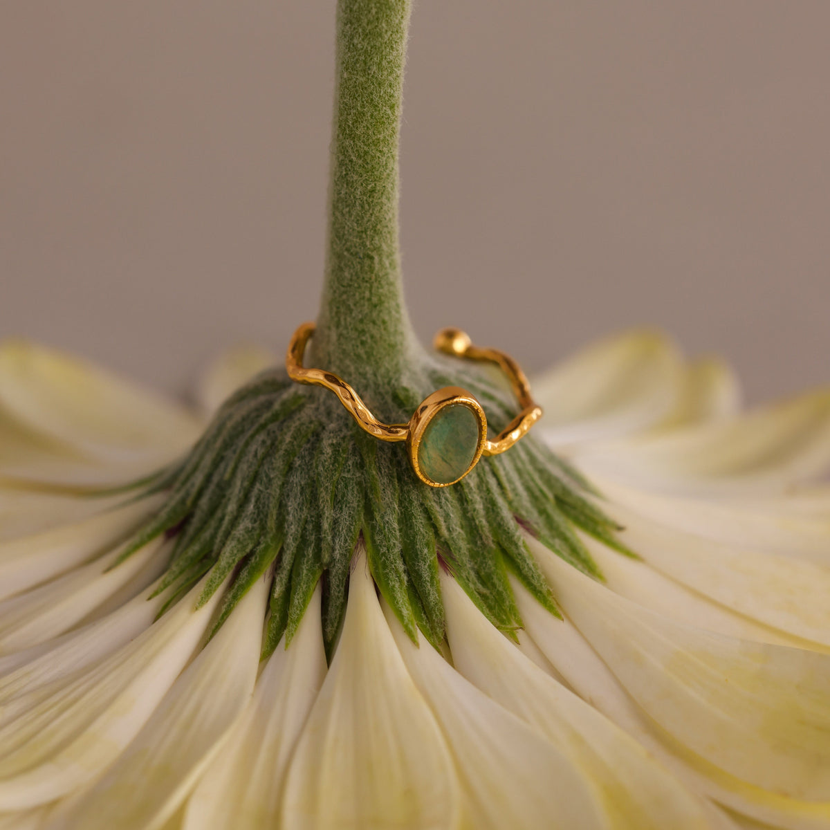 Open sculpted jade ring