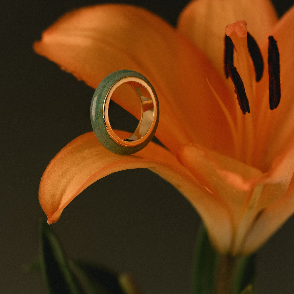 Haven jade spinner ring