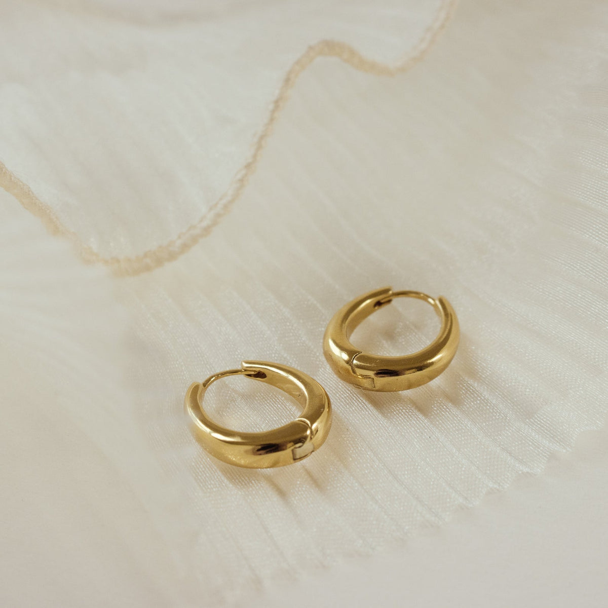 Paris oval hoops