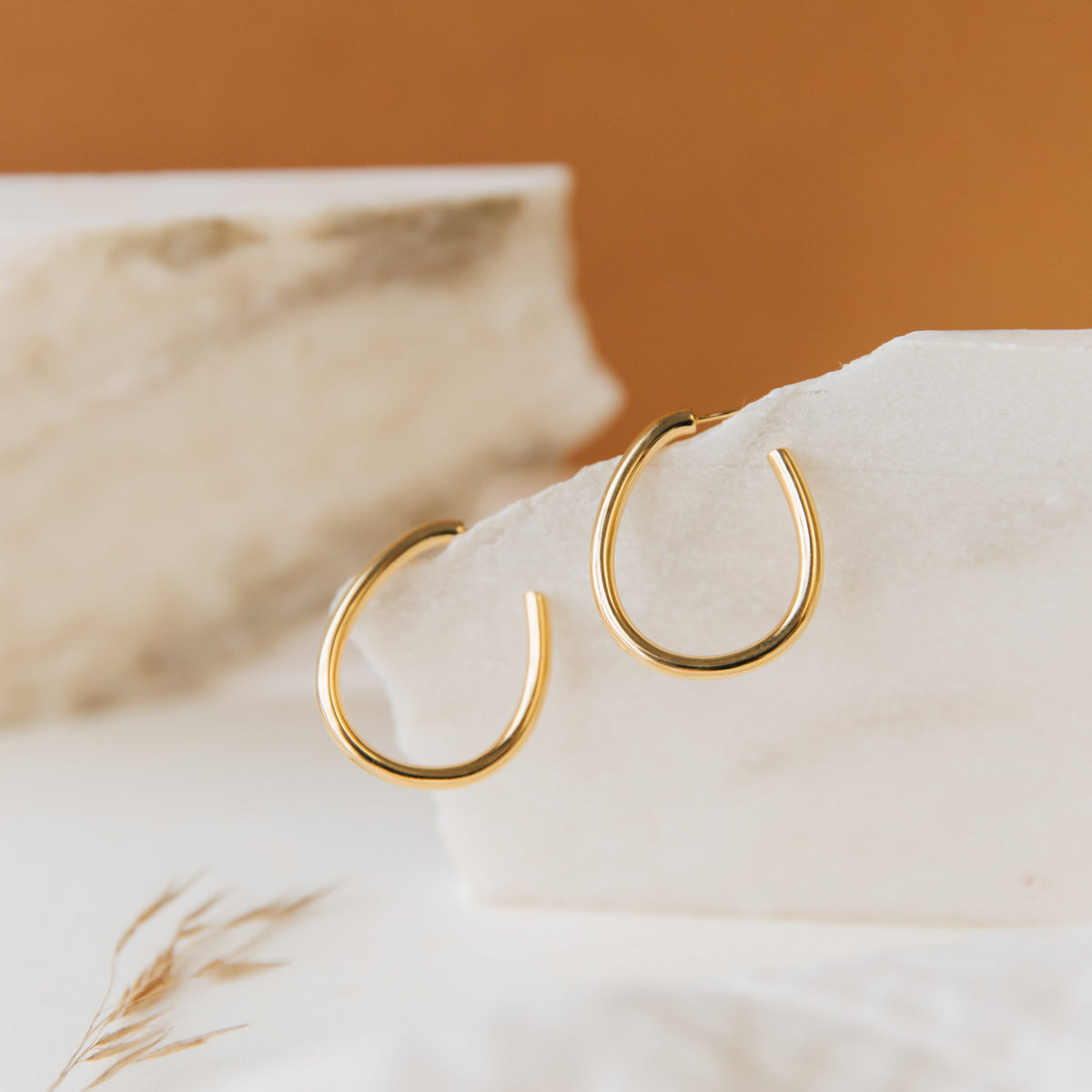 Anine oval hoops