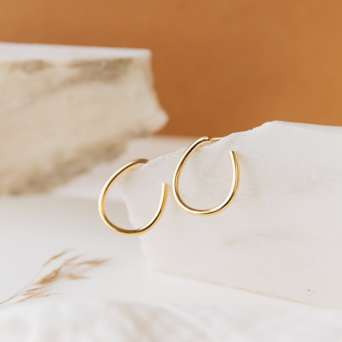 Anine oval hoops